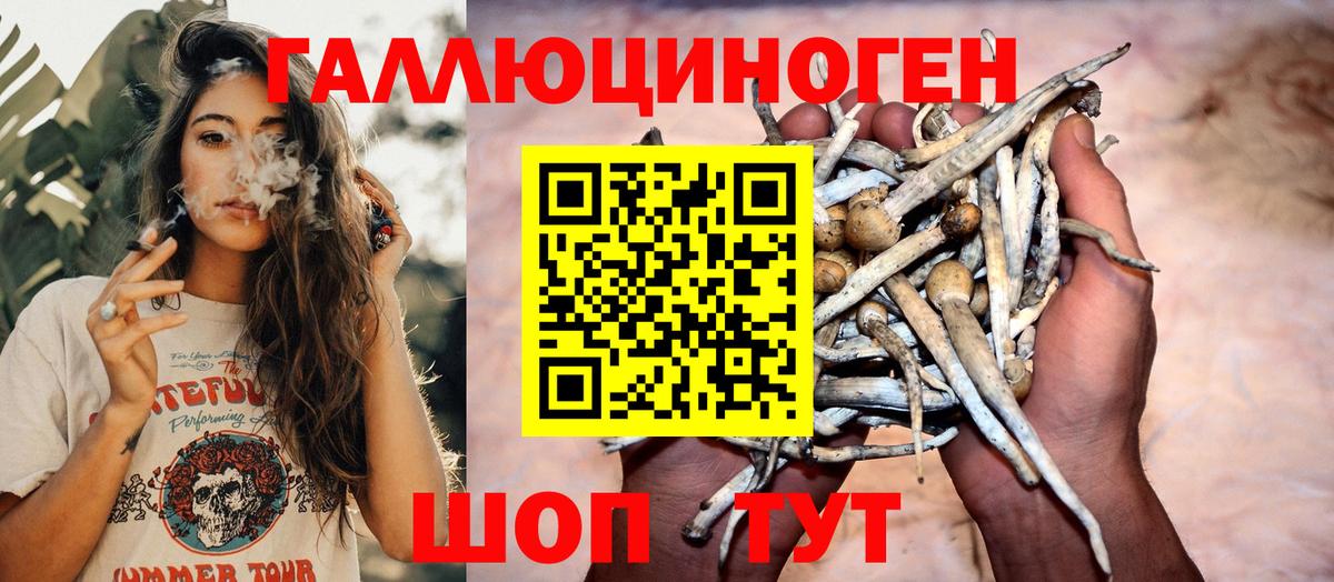 Псилоцибиновые грибы Cubensis Вязники